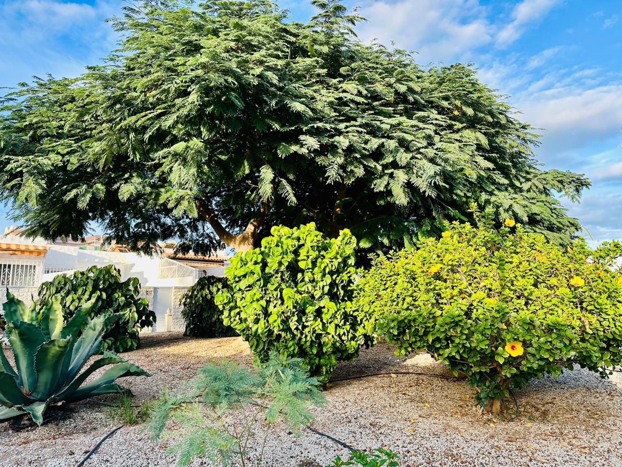 Casa Una Bungalow Delux Arona  Luaran gambar